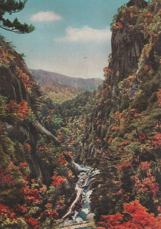 MINT POST CARD