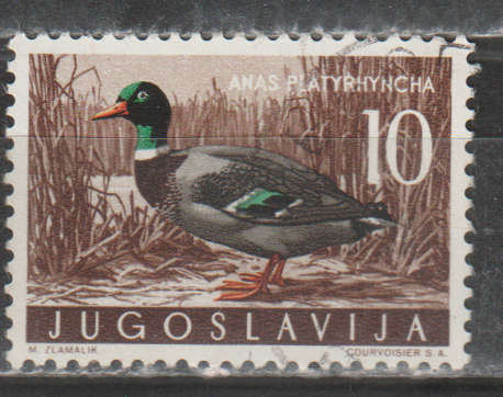 YUGOSLAVIA  1958 Local Fauna - Birds ULH  SG 879