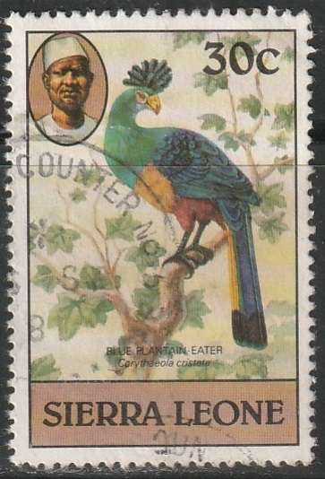 THEMATIC BIRDS SIERRA LEONE ULH