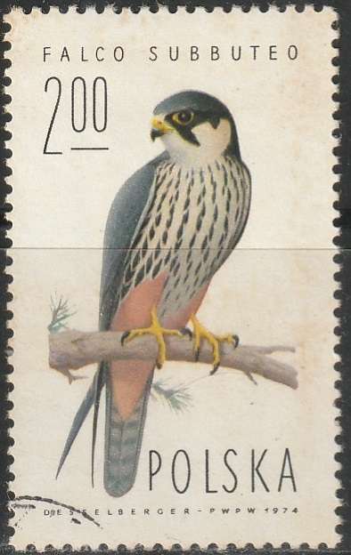 THEMATIC BIRDS POLAND ULH