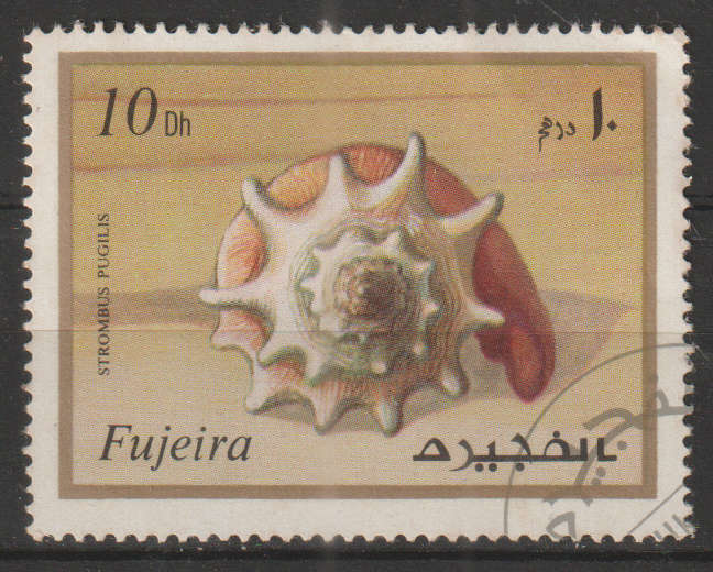 THEMATIC MARINE LIFE FUJEIRA ULH