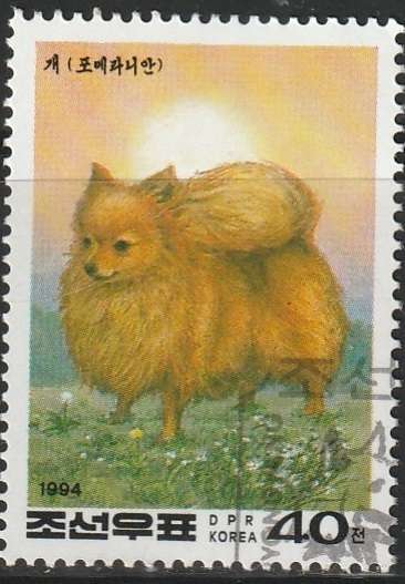 THEMATIC DOGS KOREA ULH