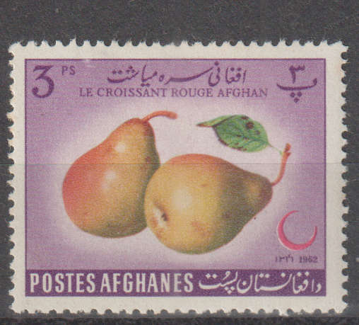 THEMATIC FLORA AFGANISTAN MM