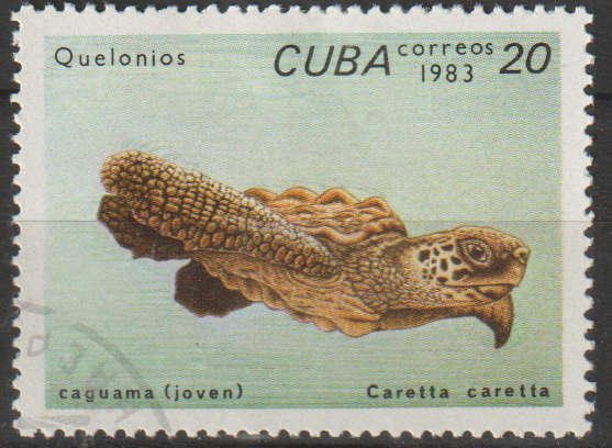 THEMATIC MARINE LIFE/FISH CUBA ULH