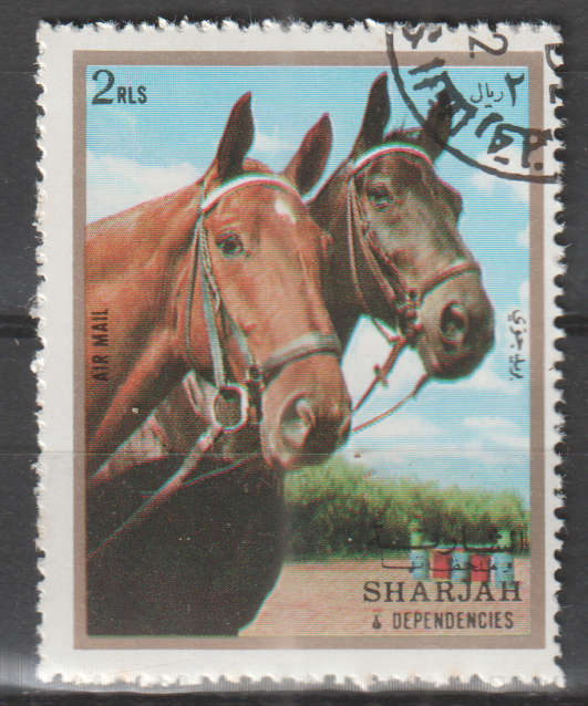 THEMATIC HORSES SHARJAH CTO