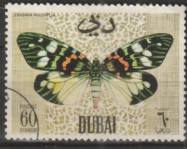 THEMATIC BUTTERFLIES DUBAI ULH