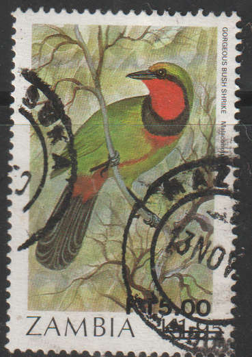 THEMATIC BIRDS ZAMBIA ULH