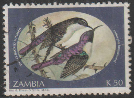 THEMATIC BIRDS ZAMBIA ULH