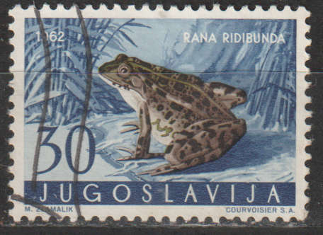 YUGOSLAVIA 1962 Amphibians & Reptiles ULH SG 1050