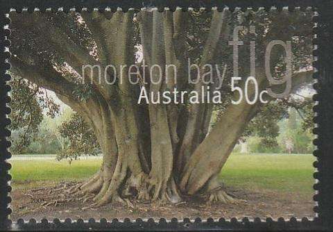 AUSTRALIA 2005 Australian Trees UNH SG 2554