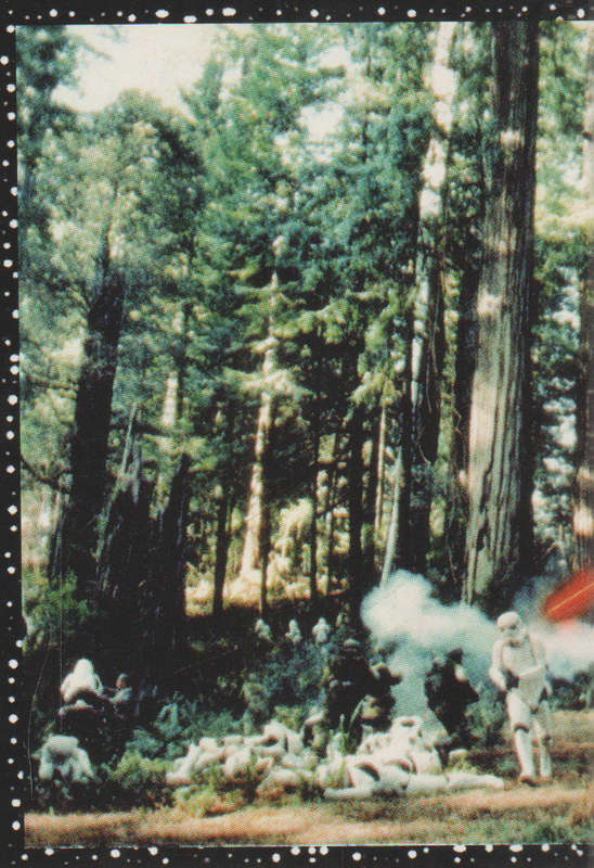 PANINI STAR WARS COLLECTABLE STICKER #137