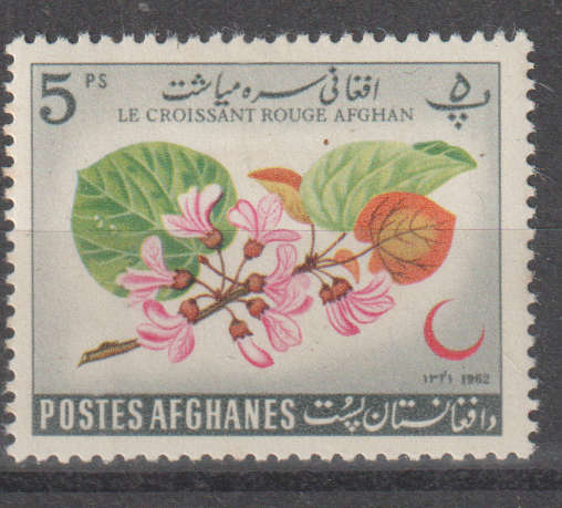 THEMATIC FLORA AFGANISTAN MM