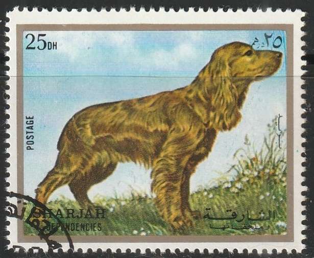 THEMATIC DOGS SHARJAH ULH