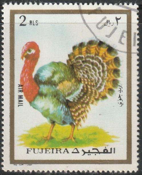 THEMATIC FARM ANIMALS FUJEIRA ULH