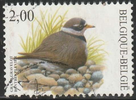 THEMATIC BIRDS BELGIUM ULH