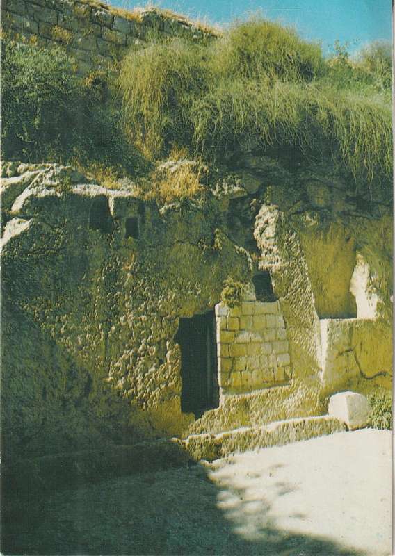 MINT POST CARD