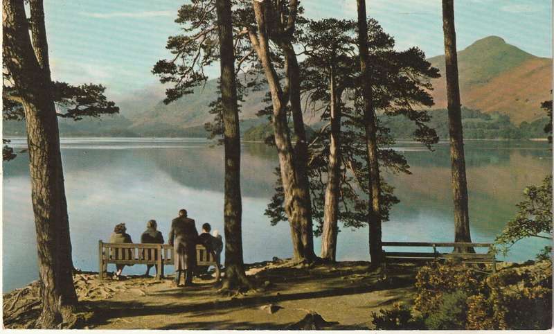 MINT POST CARD