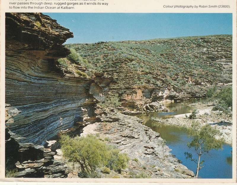 MINT POST CARD
