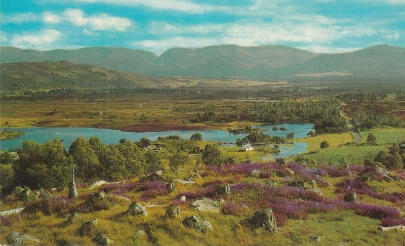 MINT POST CARD