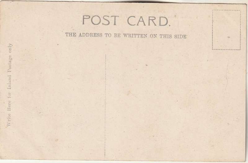 MINT POST CARD ART SCHOOL  HARROW