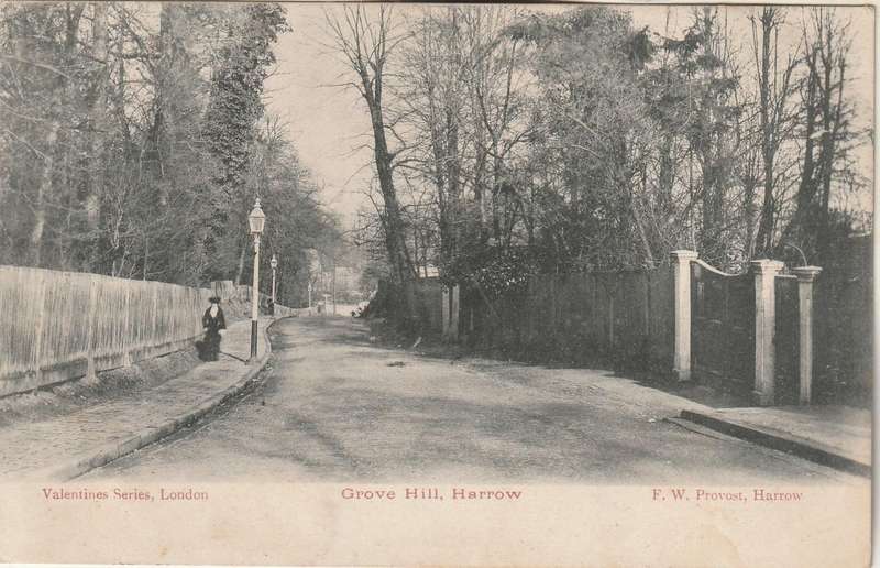 MINT POST CARD GROVE HILL  HARROW