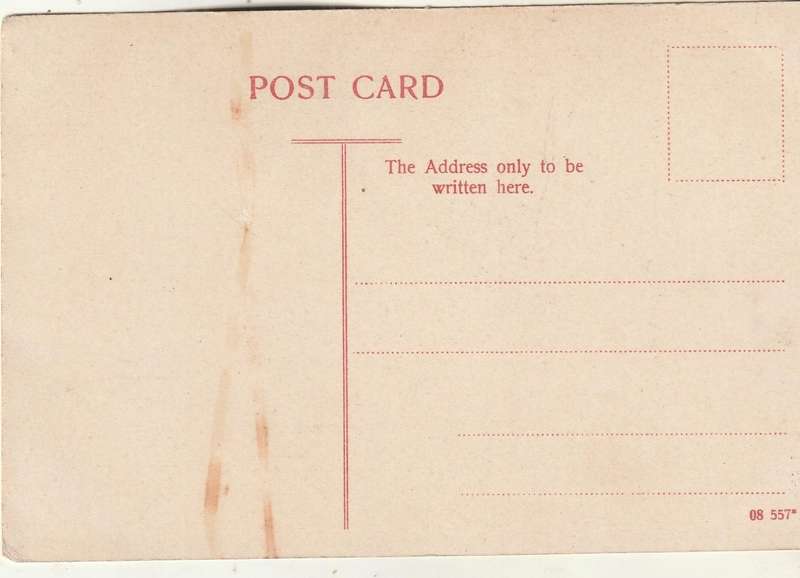 MINT POST CARD STATUE PRESIDENT KRUGER
