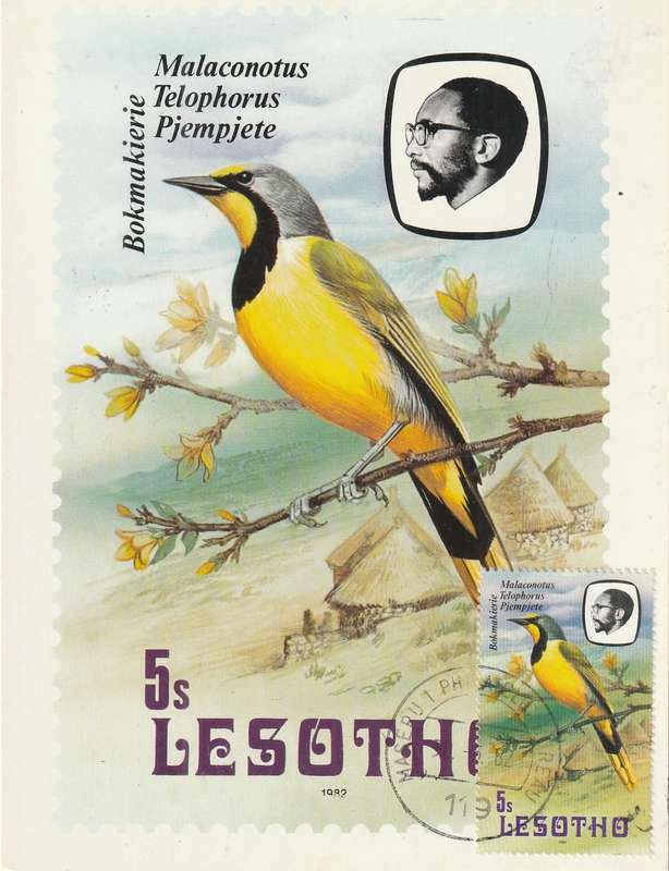 VINTAGE UN USED POST CARD LESOTHO BIRDS