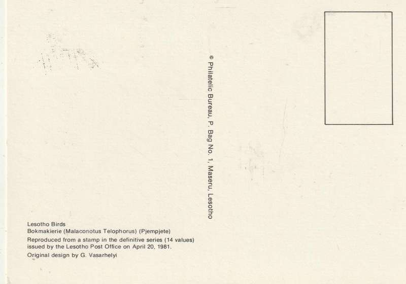 VINTAGE UN USED POST CARD LESOTHO BIRDS