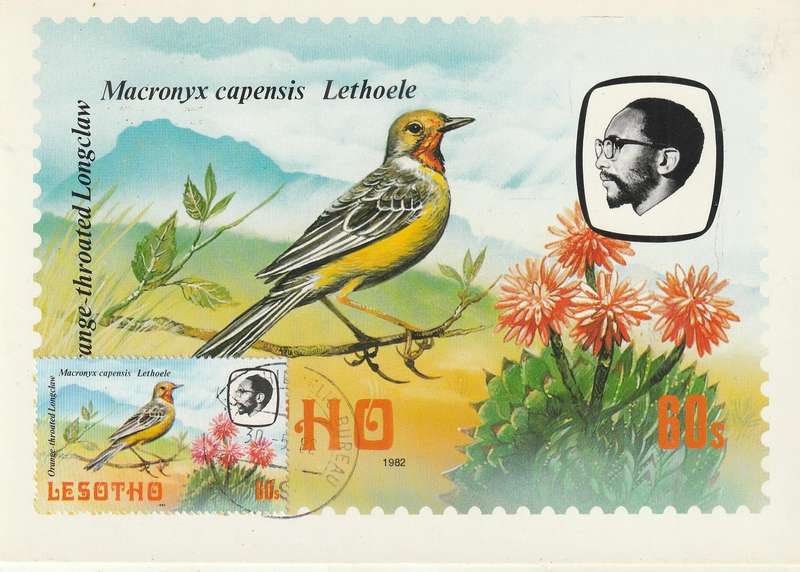 VINTAGE UN USED POST CARD LESOTHO BIRDS