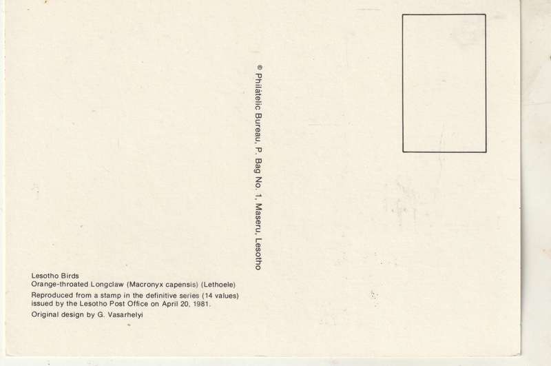 VINTAGE UN USED POST CARD LESOTHO BIRDS