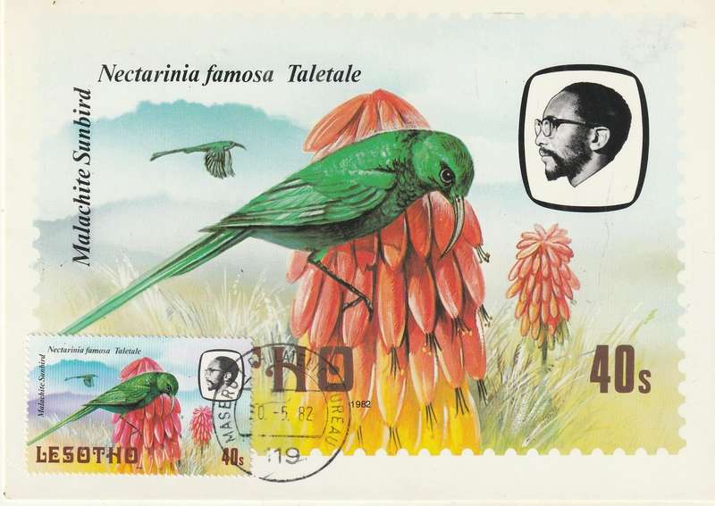 VINTAGE UN USED POST CARD LESOTHO BIRDS