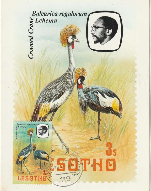 VINTAGE UN USED POST CARD LESOTHO BIRDS