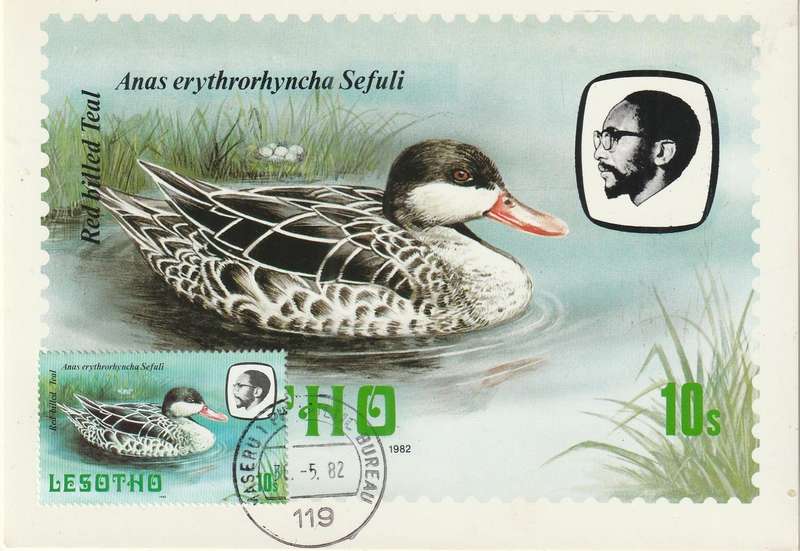 VINTAGE UN USED POST CARD LESOTHO BIRDS