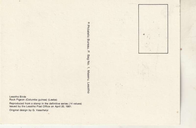 VINTAGE UN USED POST CARD LESOTHO BIRDS