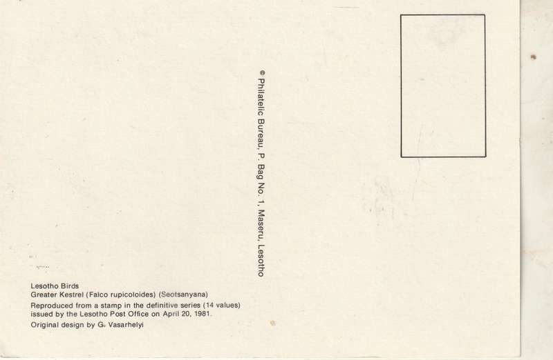 VINTAGE UN USED POST CARD LESOTHO BIRDS