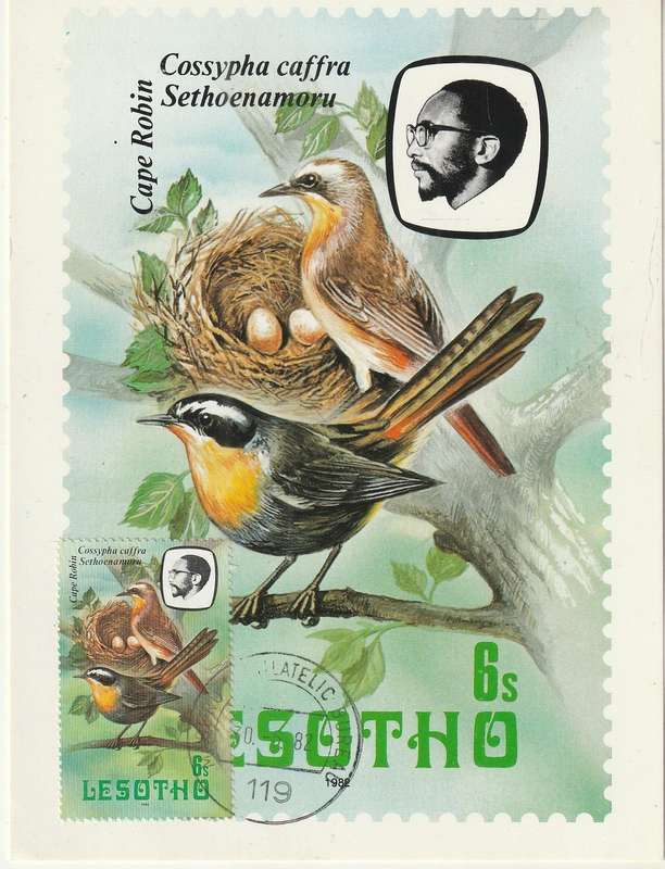 VINTAGE UN USED POST CARD LESOTHO BIRDS