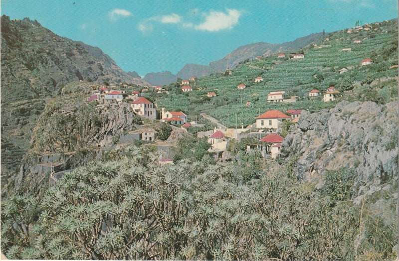 VINTAGE UN POSTED POST CARD MADEIRA