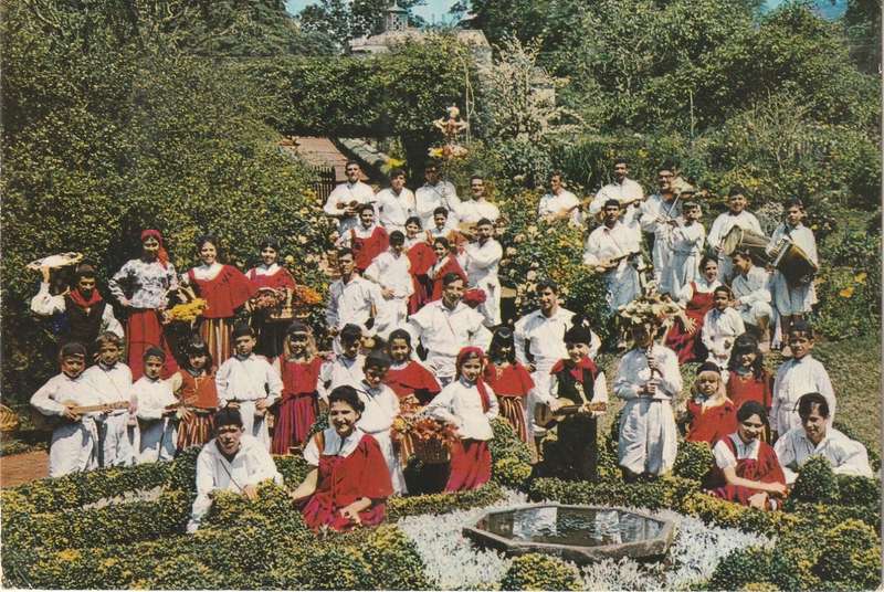 VINTAGE UN POSTED POST CARD MADEIRA