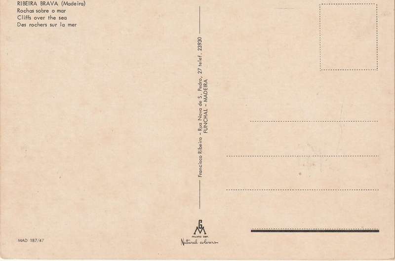 VINTAGE UN POSTED POST CARD MADEIRA