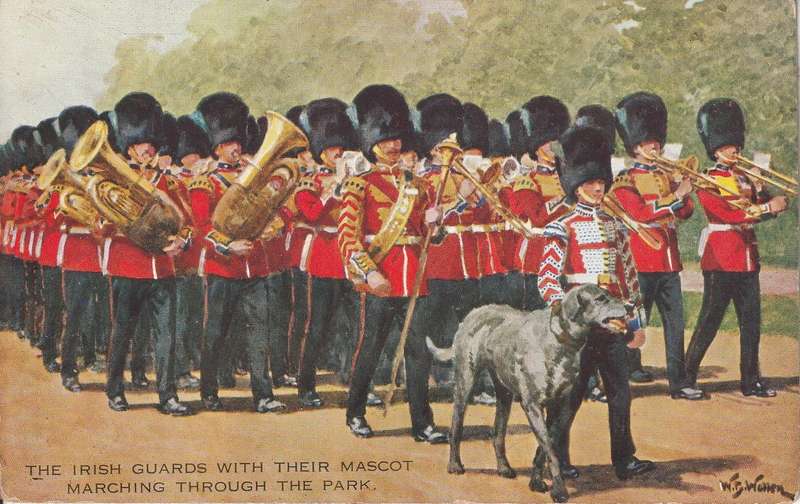 MINT POST CARD THE IRISH GUARD WITH MASCOT
