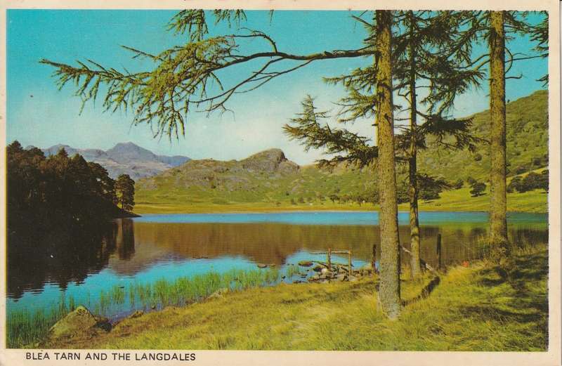 VINTAGE UN USED POST CARD BLEA TARN AND THE LANGDALES