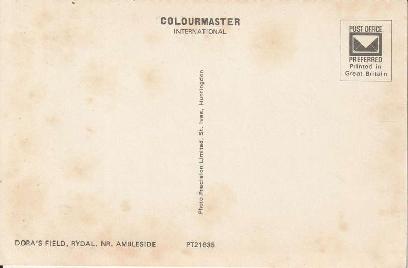 VINTAGE UN USED POST CARD DORAS FIELD