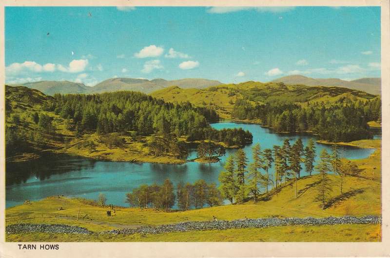 VINTAGE UN USED POST CARD TARN HOWS