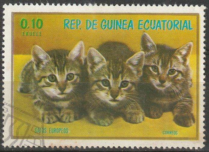 THEMATIC CATS EQUATORIAL GUINEA ULH
