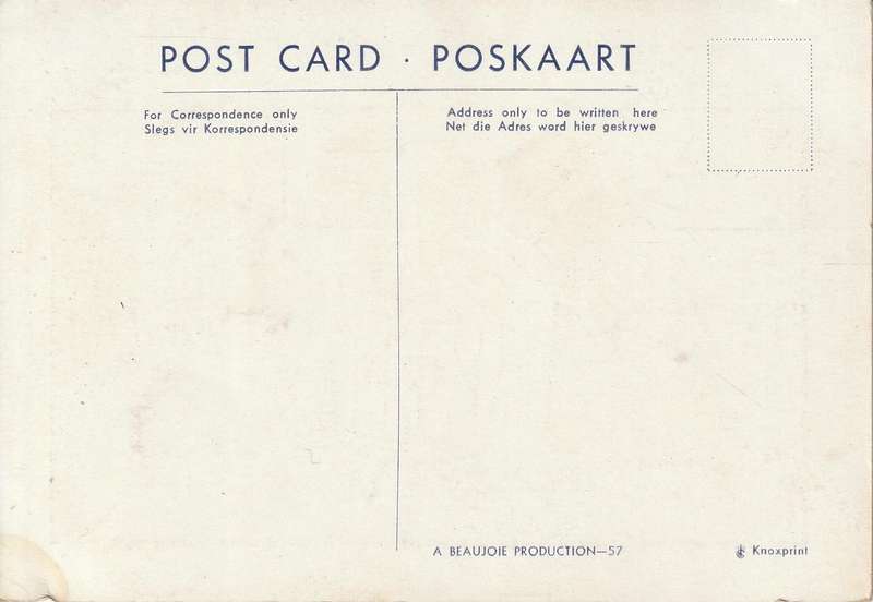 UN USED CARTOON POST CARD SOUTH AFRICA