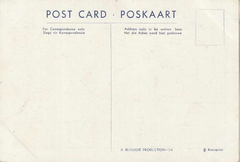 UN USED CARTOON POST CARD SOUTH AFRICA