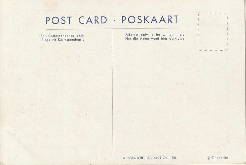 UN USED CARTOON POST CARD SOUTH AFRICA