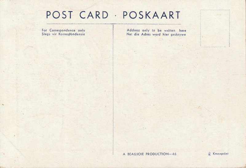UN USED CARTOON POST CARD SOUTH AFRICA