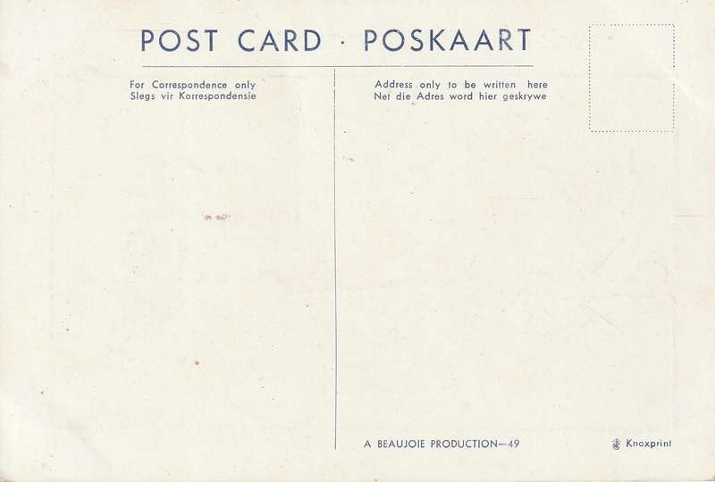 UN USED CARTOON POST CARD SOUTH AFRICA