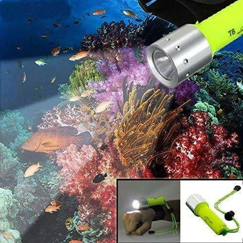 Diving Torch